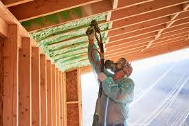 Eco-Friendly Insulation Solutions in Ravenel, SC